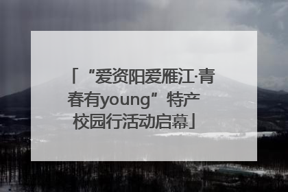 “爱资阳爱雁江·青春有young”特产校园行活动启幕